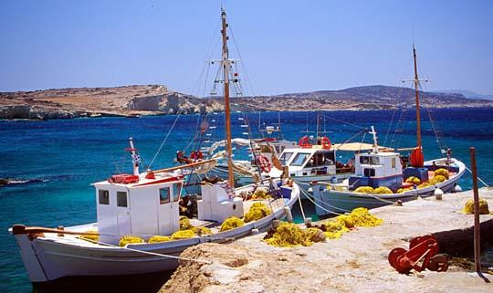 Σπάνιο είδος φάλαινας στα δίχτυα ψαρά στην Κρήτη (εικόνες)